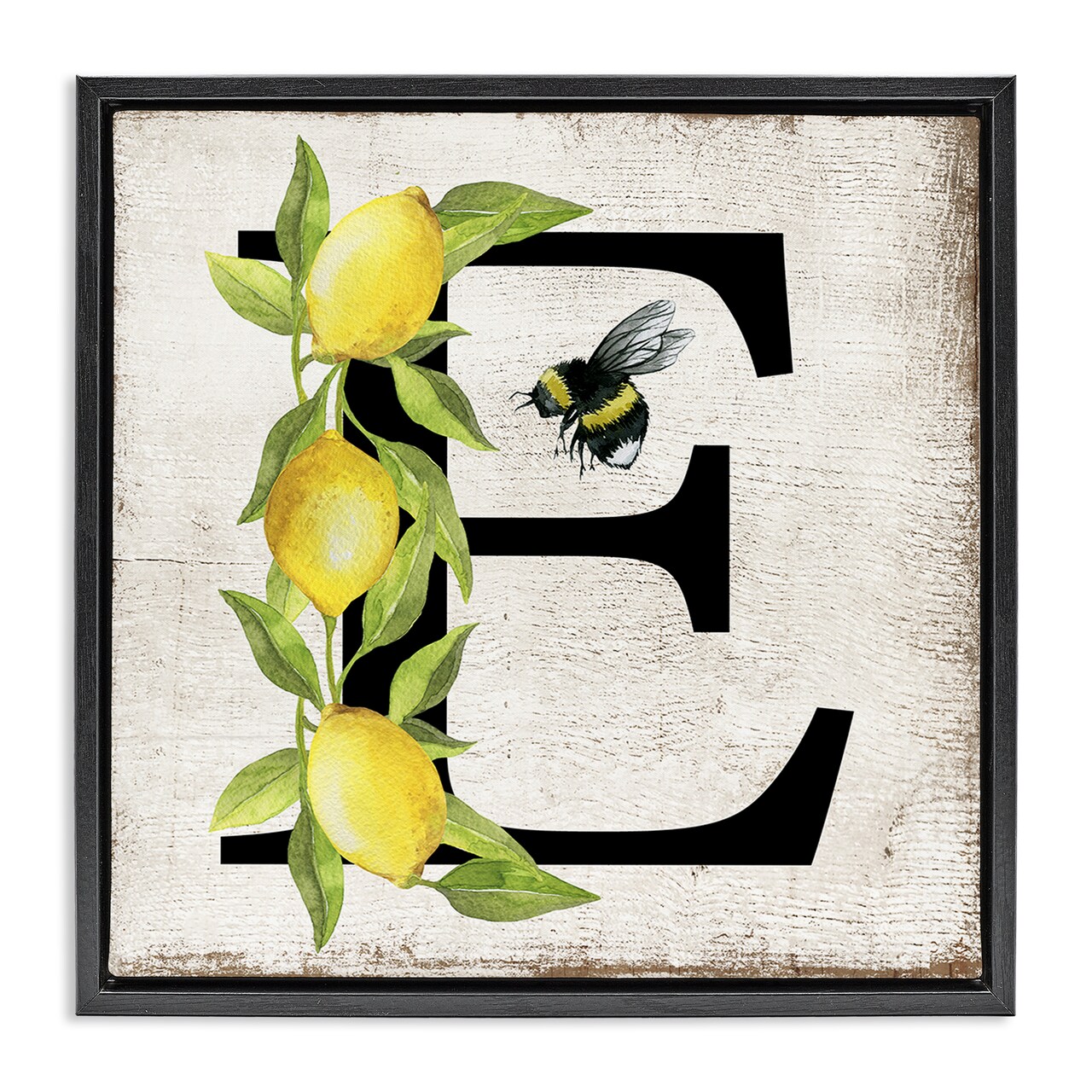 Stupell Industries Lemon & Bee E Letter Floater Framed Canvas Wall Art Design by Creatif Belle